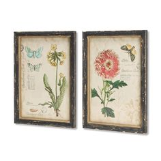 two framed pictures with flowers and butterflies on them