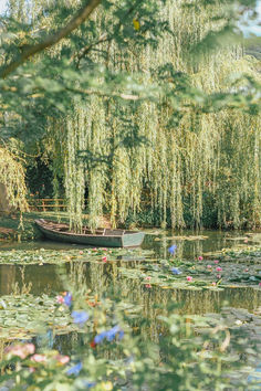 a boat floating on top of a lake next to a tree filled with water lillies