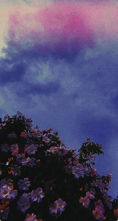 the sky is filled with pink and blue flowers