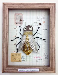 a framed insect with writing on it