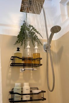 a shower head with soaps, lotion and plants in it