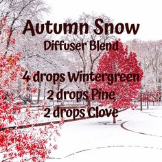 Diffuser Scents, Autumn Snow, Simmer Pots, Eo Blends, Fall Essential Oils, Simmer Pot, Essential Oils 101