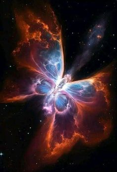 an image of a butterfly in space with stars and clouds on the background, it looks like something from another planet