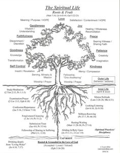 the tree of life is shown in this diagram