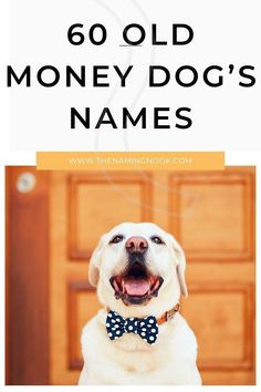 a dog wearing a bow tie with the words 60 old money dogs names