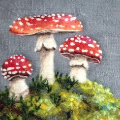 three red mushrooms sitting on top of a patch of grass