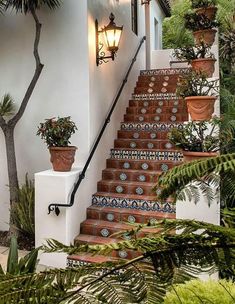 the stairs are decorated with potted plants