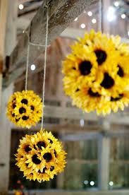 sunflowers are hanging from the ceiling in a barn