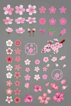 pink flowers and leaves on a gray background