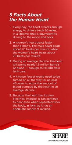 Heart Facts, The Human Heart, Health And Fitness Magazine, Healthy Diet Tips, Daily Health Tips, Fitness Advice