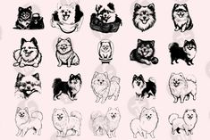 a bunch of dogs that are drawn in black and white