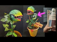 three pictures of plants with fake teeth and mouths on them