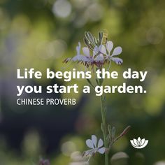 a flower with the words life begins the day you start a garden chinese prover