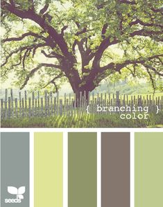 an image of a tree with green and brown colors in the background that says, brenching color