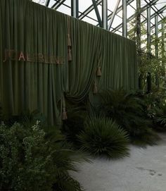 the interior of a greenhouse with green curtains and plants