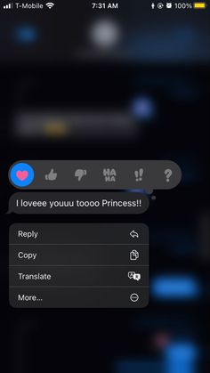 an iphone screen with the text i love you too princess on it, and two different texts