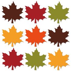 six different colored maple leaves on a white background