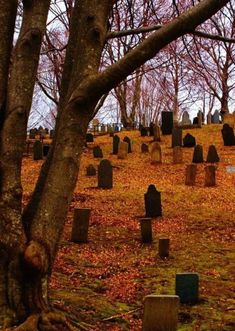 an old cemetery with many headstones and trees in the foreground on a fall day