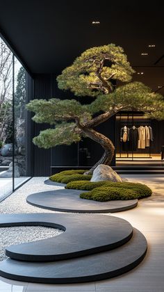 a bonsai tree in the middle of a room with stone flooring and black walls