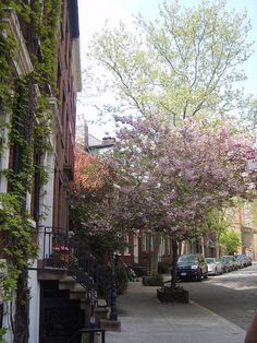 a woman is standing on the sidewalk in front of some buildings and trees with pink flowers