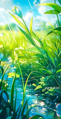 grass and water with bubbles in the background