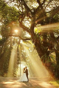 a bride and groom standing in the middle of a road with sunbeams shining down on them