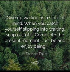 a forest filled with lots of trees next to a quote from echakt tolle