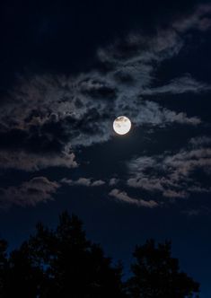 the moon is shining brightly in the night sky above some trees and bushes, with dark clouds behind it