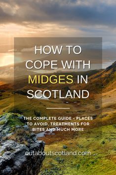 the scottish countryside with text overlaying how to cope with midges in scotland