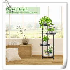 there is a plant stand with plants in it