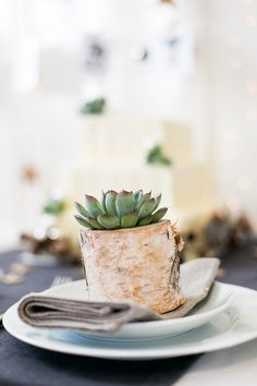 there is a small succulent plant on the plate