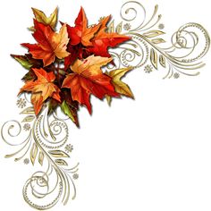 a bouquet of autumn leaves on a white background