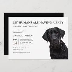 a black dog is shown in this baby announcement