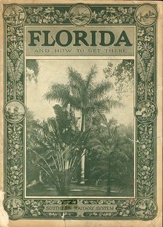 an old florida magazine with palm trees in the background