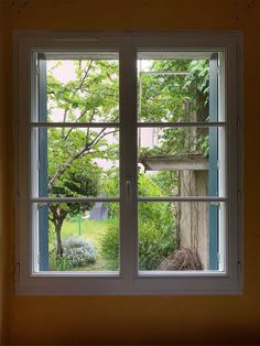 The rain’s wetting nature and I finally noticed the window. The Window, The Rain, Nature