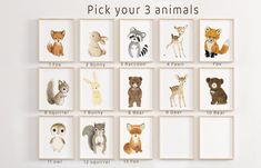 an animal print is displayed on the wall in front of a white background with text that reads pick your 3 animals