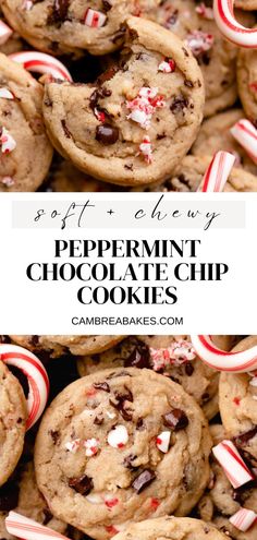 peppermin chocolate chip cookies with candy canes on top and the words, soft & chewy peppermin chocolate chip cookies