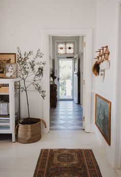 an entry way with a potted plant and rug