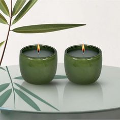 two green candles sitting on top of a white table next to a leafy plant