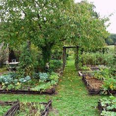 an open garden with lots of plants and trees in the background, surrounded by green grass