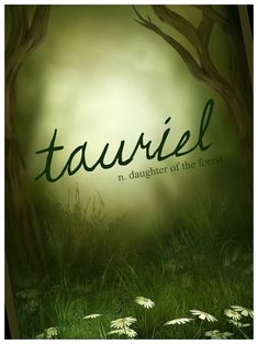 an image of a book cover with the title tauriel in danger of the forest