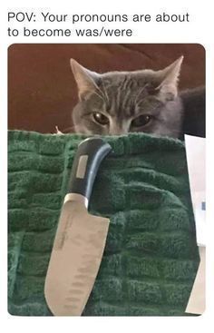 a cat is peeking over the edge of a towel with a large spatula in it