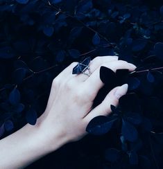 a person's hand holding something in front of some leaves and branches with their fingers