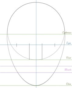 an image of a face with different lines on it