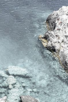 an animal that is standing in the water near some rocks and ices on the ground