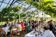 a group of people sitting at tables in a greenhouse