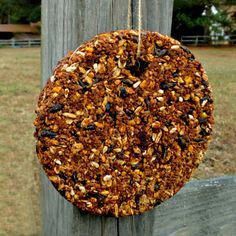 a bird feeder hanging from a wooden pole