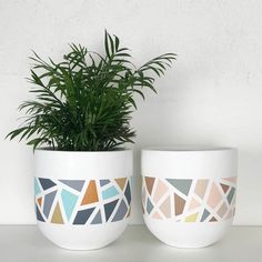 two planters with plants in them sitting next to each other