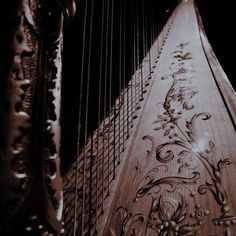 a close up view of the strings on a musical instrument