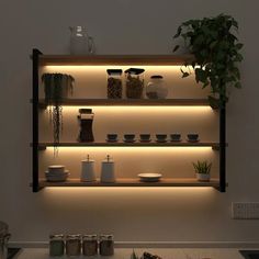 an illuminated shelf filled with pots and bowls next to a potted plant on top of a counter